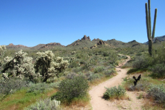 Massacre Grounds Trail | AZoffroading.com