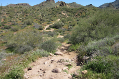 Massacre Grounds Trail | AZoffroading.com