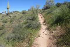 Massacre Grounds Trail | AZoffroading.com