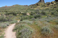 Massacre Grounds Trail | AZoffroading.com