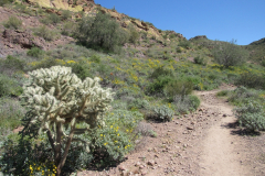 Massacre Grounds Trail | AZoffroading.com