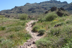 Massacre Grounds Trail | AZoffroading.com
