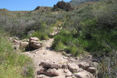 Massacre Grounds Trail | AZoffroading.com