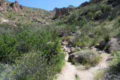 Massacre Grounds Trail | AZoffroading.com