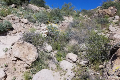 Massacre Grounds Trail | AZoffroading.com