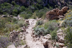 Massacre Grounds Trail | AZoffroading.com