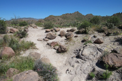 Massacre Grounds Trail | AZoffroading.com
