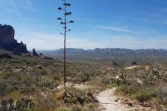 Massacre Grounds Trail | AZoffroading.com