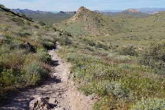 Massacre Grounds Trail | AZoffroading.com