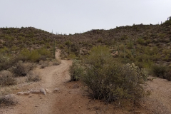 Miners Needle Loop | AZoffroading.com