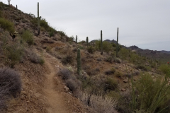 Miners Needle Loop | AZoffroading.com