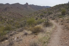 Miners Needle Loop | AZoffroading.com