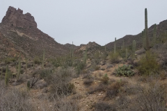 Miners Needle Loop | AZoffroading.com
