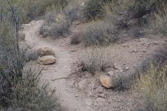 Miners Needle Loop | AZoffroading.com