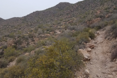 Miners Needle Loop | AZoffroading.com