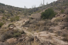 Miners Needle Loop | AZoffroading.com