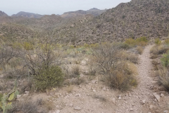 Miners Needle Loop | AZoffroading.com