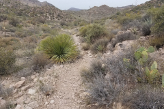 Miners Needle Loop | AZoffroading.com