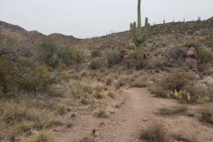 Miners Needle Loop | AZoffroading.com
