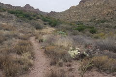 Miners Needle Loop | AZoffroading.com