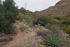 Miners Needle Loop | AZoffroading.com