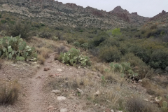 Miners Needle Loop | AZoffroading.com