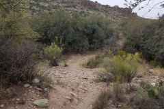 Miners Needle Loop | AZoffroading.com