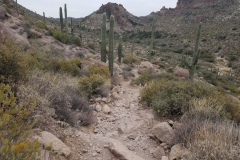 Miners Needle Loop | AZoffroading.com