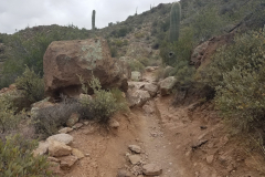 Miners Needle Loop | AZoffroading.com