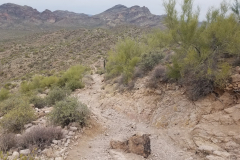 Miners Needle Loop | AZoffroading.com