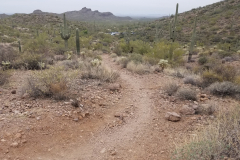 Miners Needle Loop | AZoffroading.com