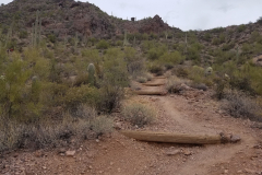 Miners Needle Loop | AZoffroading.com