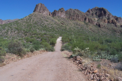 Montana Mountain | AZoffroading.com