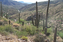 Montana Mountain | AZoffroading.com