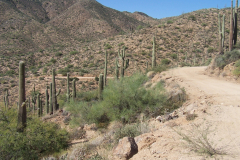 Montana Mountain | AZoffroading.com