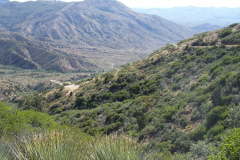 Montana Mountain | AZoffroading.com