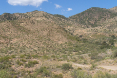 Montana Mountain | AZoffroading.com