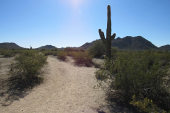Moonlight Trail / San Tan Trail | AZoffroading.com