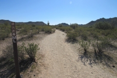 Moonlight Trail / San Tan Trail | AZoffroading.com