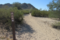 Moonlight Trail / San Tan Trail | AZoffroading.com