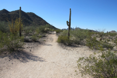 Moonlight Trail / San Tan Trail | AZoffroading.com