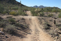 Moonlight Trail / San Tan Trail | AZoffroading.com