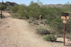 Moonlight Trail / San Tan Trail | AZoffroading.com