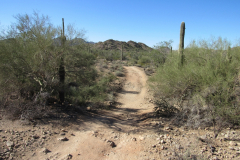 Moonlight Trail / San Tan Trail | AZoffroading.com