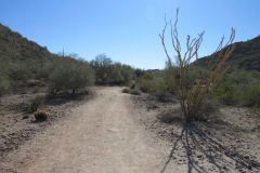 Moonlight Trail / San Tan Trail | AZoffroading.com