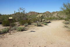 Moonlight Trail / San Tan Trail | AZoffroading.com