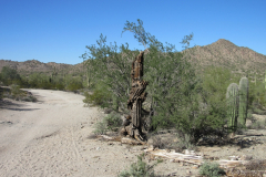Moonlight Trail / San Tan Trail | AZoffroading.com