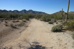 Moonlight Trail / San Tan Trail | AZoffroading.com