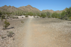 Moonlight Trail / San Tan Trail | AZoffroading.com