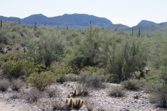 Moonlight Trail / San Tan Trail | AZoffroading.com